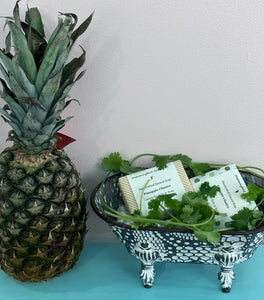 Pineapple and Cilantro Hummingbird Essentials